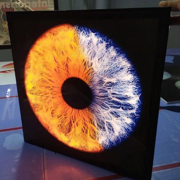 Interiorismo y señalética en Tenerife