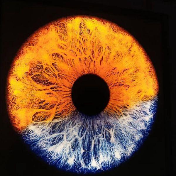 Interiorismo y señalética en Tenerife